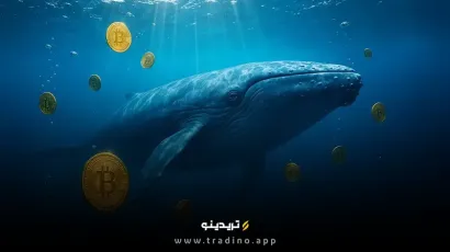 افزایش ۵۰ درصدی شرکت‌های دارای حداقل ۱,۰۰۰ بیت کوین؛ آیا موج بعدی از اینجا شروع می‌شود؟