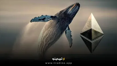 یک نهنگ تازه وارد با خرید میلیاردی اتریوم، ETFها را پشت سر گذاشت!