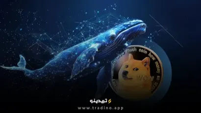 انباشت دوج کوین توسط نهنگ‌ها؛ سیگنال صعودی در دل اصلاح بازار