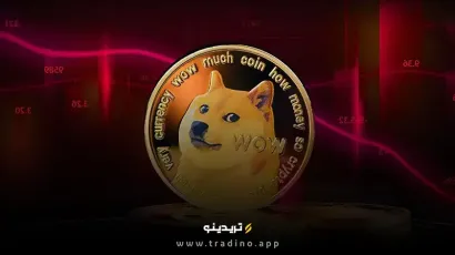 افزایش حجم معاملات دوج کوین؛ آیا شما هم این نشانه را می‌بینید؟