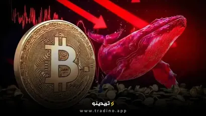 کاهش شتاب انباشت بیت‌ کوین توسط نهنگ‌ها