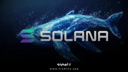 افزایش خرید سولانا توسط نهنگ‌ها پس از افت شدید؛ هدف بعدی ۵۰۰ دلار؟