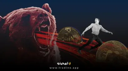 رازهای بازار نزولی ارز دیجیتال؛ قبل از جهش بعدی بدانید!