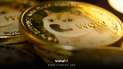 یک سکه شیبا اینو